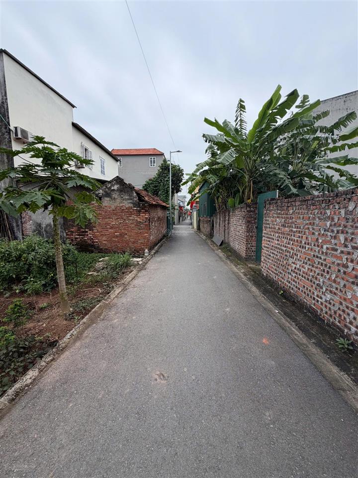 Bán đất 88m² tại đông dư, xã bát tràng, huyện gia lâm  đường ô tô