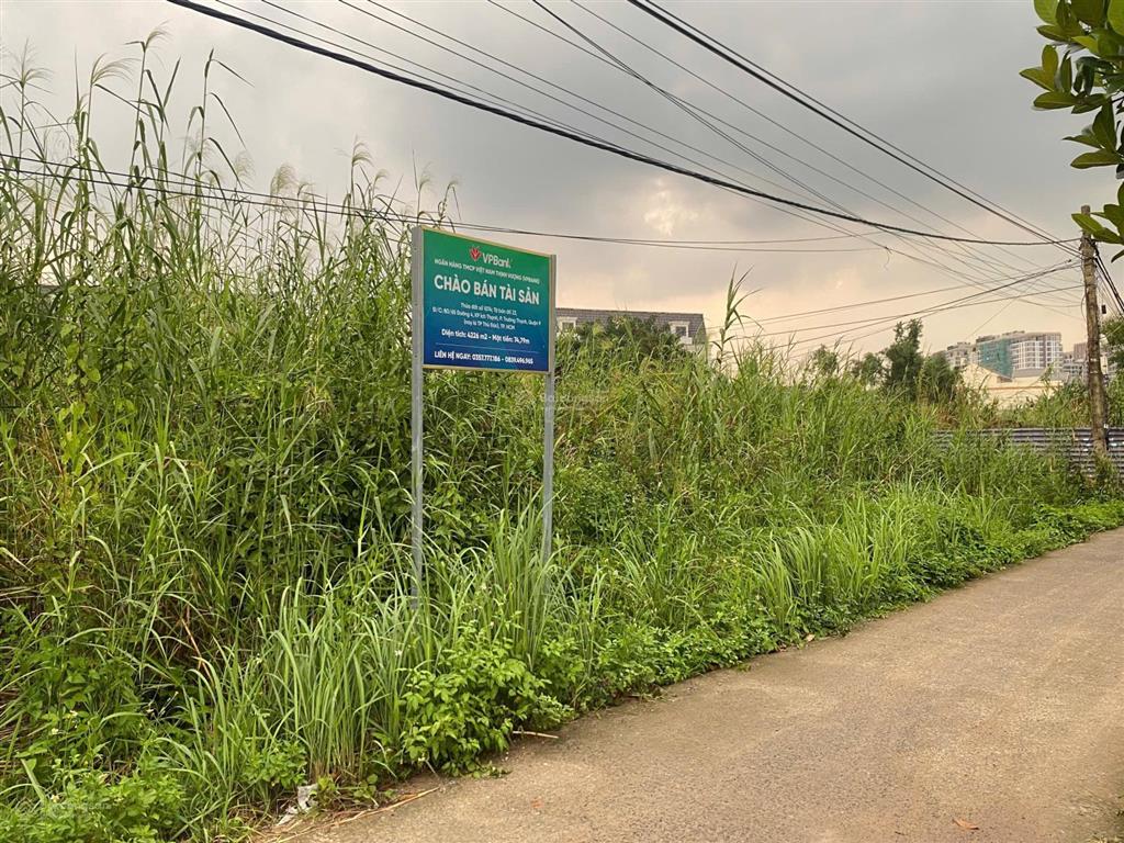 Chuyển nhượng 4226m2 khu phố ích thạnh