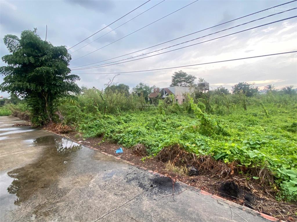 Chuyển nhượng 4226m2 khu phố ích thạnh