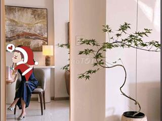 căn hộ cao cấp Vinhomes