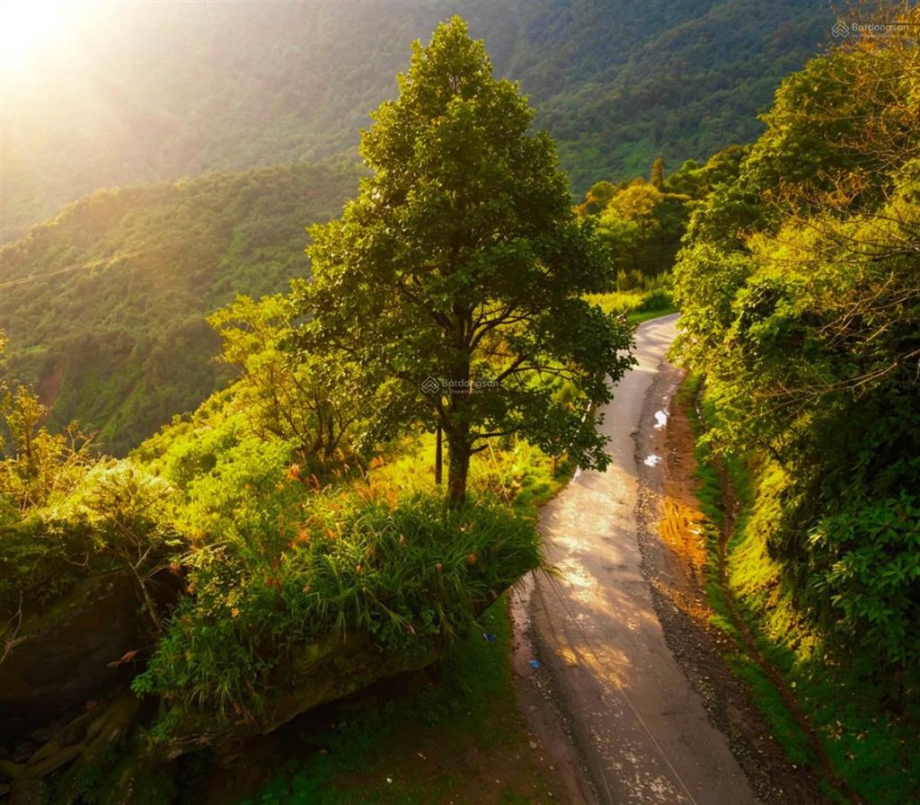 Nhà riêng bán tại nguyễn chí thanh, sa pa, 21 tỷ, 618 m2, giá tốt