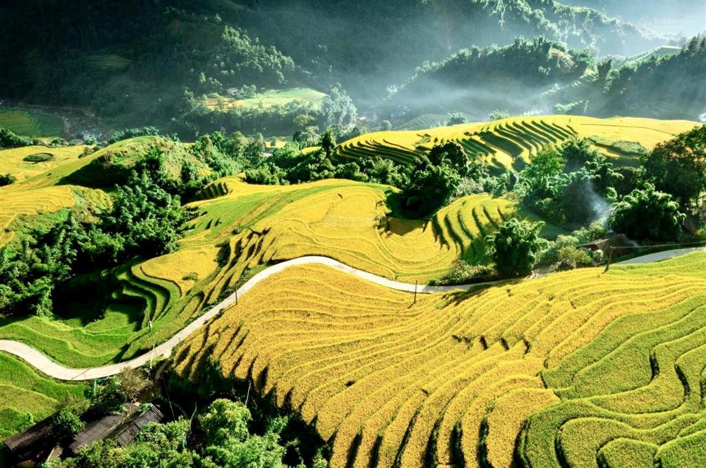 Bán đất mặt đường tỉnh lộ 152 xã tả van, lào cai