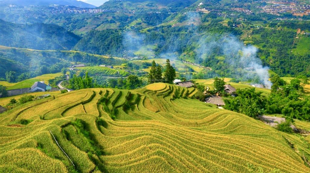 Bán đất mặt đường tỉnh lộ 152 xã tả van, lào cai