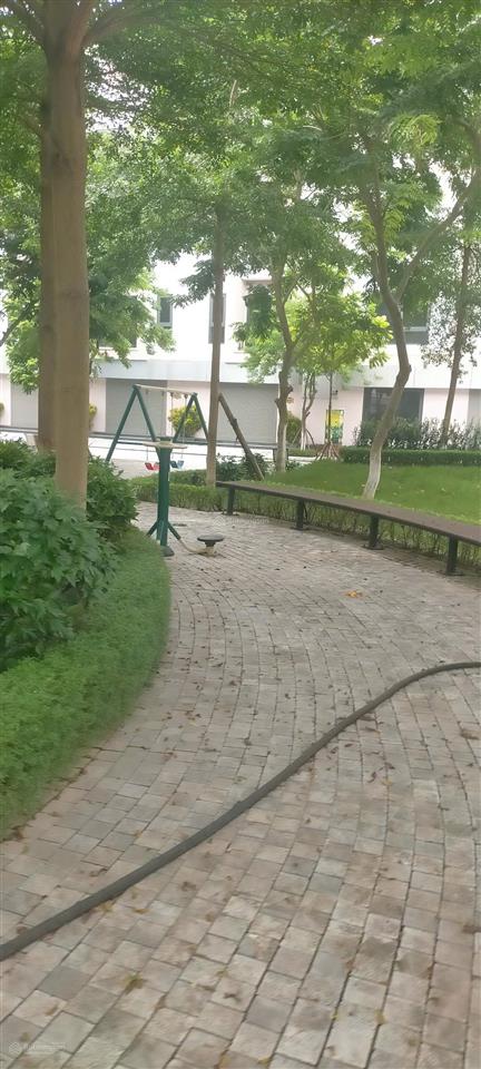 Bán liền kề khu đô thị t&t phố nối, diện tích 75m² mặt tiền 5m thoáng trước sau xây sẵn 4 tầng