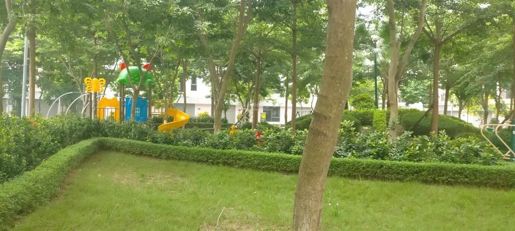 Bán liền kề khu đô thị t&t phố nối, diện tích 75m² mặt tiền 5m thoáng trước sau xây sẵn 4 tầng