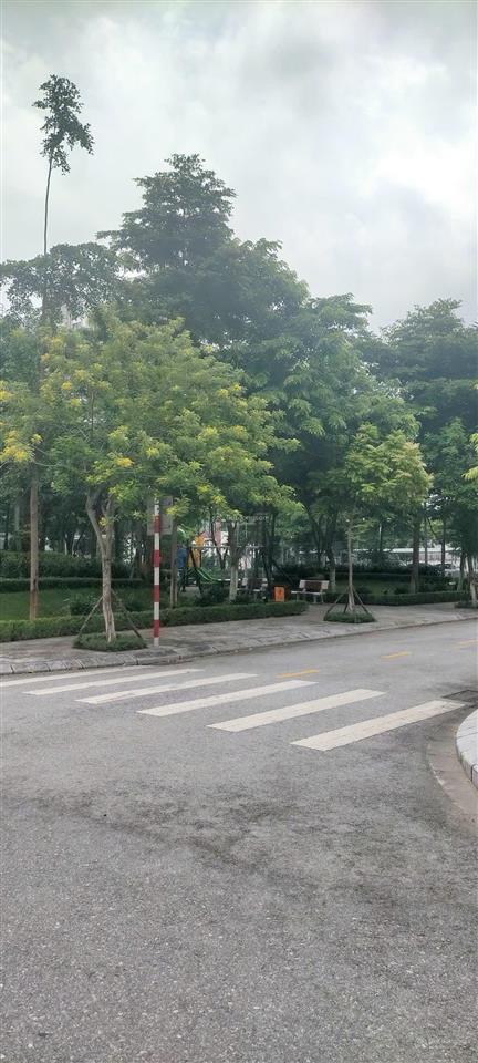 Bán liền kề khu đô thị t&t phố nối, diện tích 75m² mặt tiền 5m thoáng trước sau xây sẵn 4 tầng