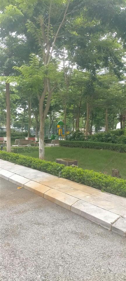 Bán liền kề khu đô thị t&t phố nối, diện tích 75m² mặt tiền 5m thoáng trước sau xây sẵn 4 tầng