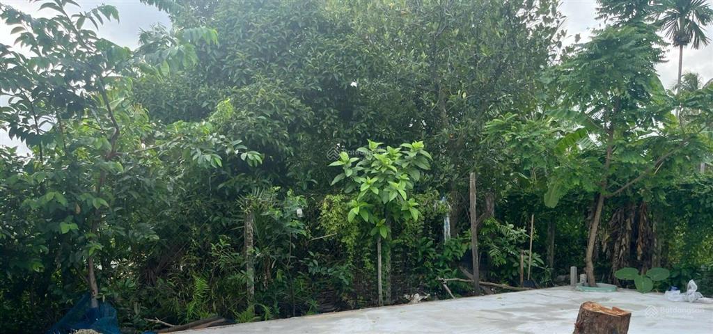 Bán đất thạnh xuân 52, cống hộp số 1, gần chợ bùi công trừng. dt 75,9 m2 quy hoạch đất, 0909 842 ***