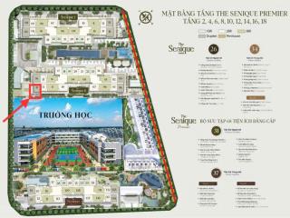 Chính chủ bán căn duplex 117,5m2 ban công đông nam view thoáng toà s2 the senique  chỉ 84tr/m2