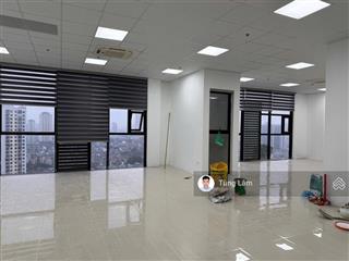 Cho thuê văn phòng giá rẻ tại dự án roman plaza, tố hữu, nam từ liêm, hà nội