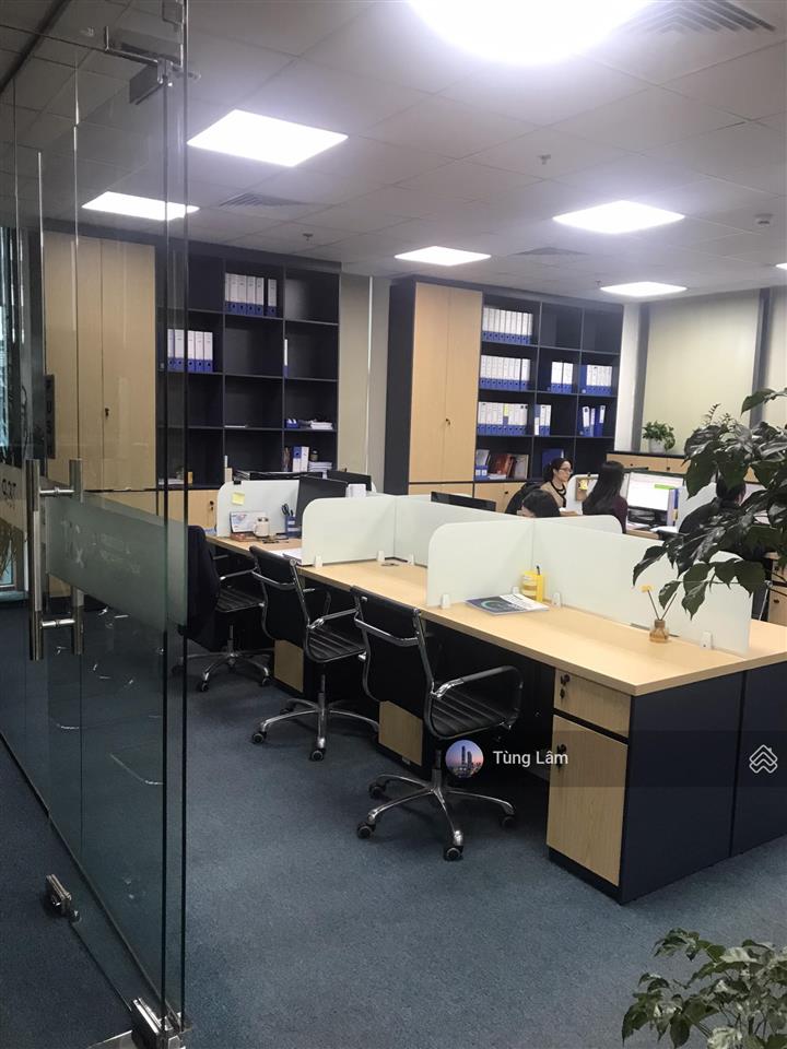 Cc cho thuê văn phòng hạng a phố hoàng đạo thúy, diện tích 270m2, lô góc 2 mặt thoáng chỉ từ 250k