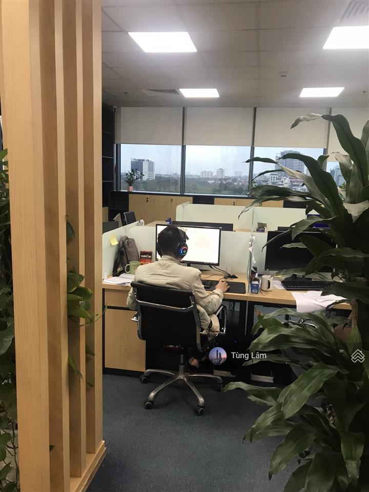 Cc cho thuê văn phòng hạng a phố hoàng đạo thúy, diện tích 270m2, lô góc 2 mặt thoáng chỉ từ 250k