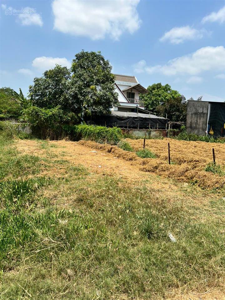 Chính chủ cần bán đất mỹ yên, tân bửu, bến lức, long an, nở hậu diện tích 100m2 giá tốt