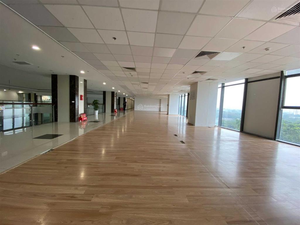 Bql cho thuê 500m2 tại tòa new skyline, văn quán, hà đông