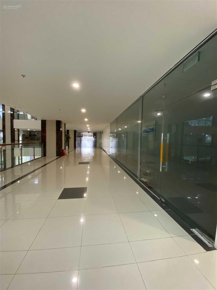 Bql cho thuê 500m2 tại tòa new skyline, văn quán, hà đông