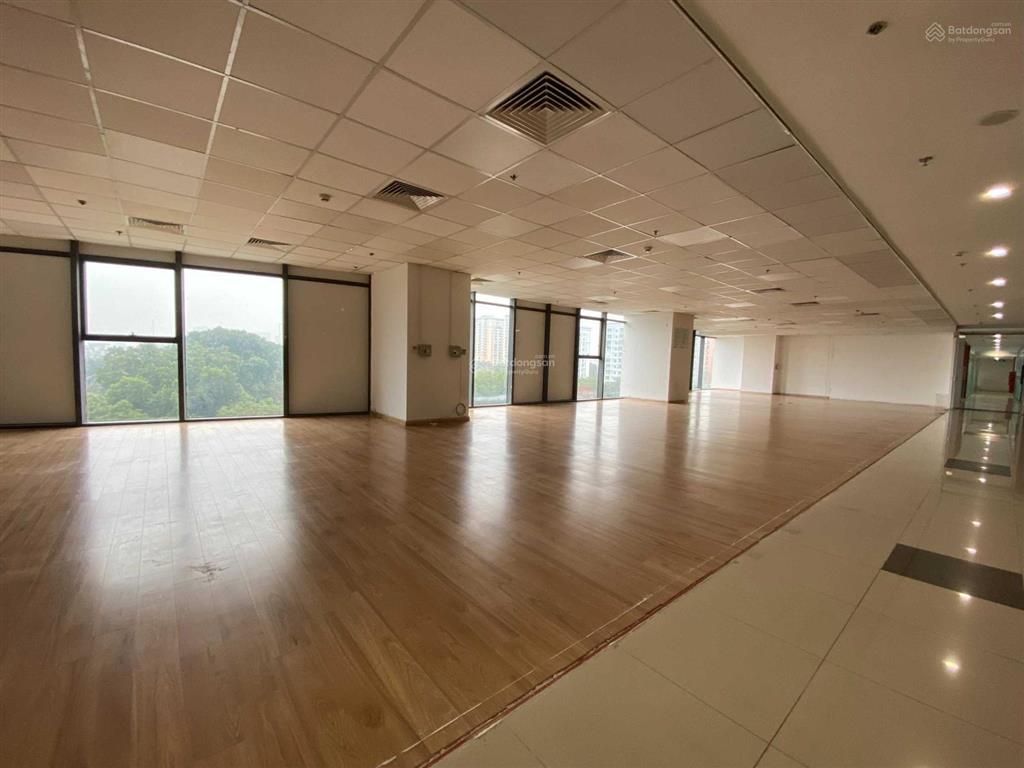 Bql cho thuê 500m2 tại tòa new skyline, văn quán, hà đông