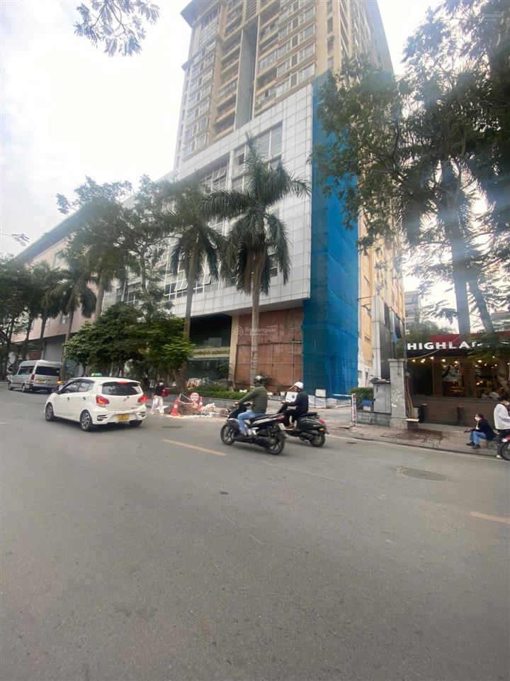 Bql cho thuê dtsd 1000m2 mặt phố đẹp nhất ngọc khánh, ba đình, mặt tiền 30m