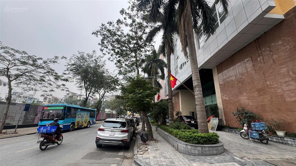 Bql cho thuê dtsd 1000m2 mặt phố đẹp nhất ngọc khánh, ba đình, mặt tiền 30m