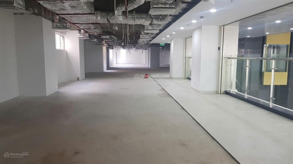 Bql cho thuê dtsd 1000m2 mặt phố đẹp nhất ngọc khánh, ba đình, mặt tiền 30m