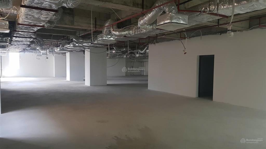 Bql cho thuê dtsd 1000m2 mặt phố đẹp nhất ngọc khánh, ba đình, mặt tiền 30m