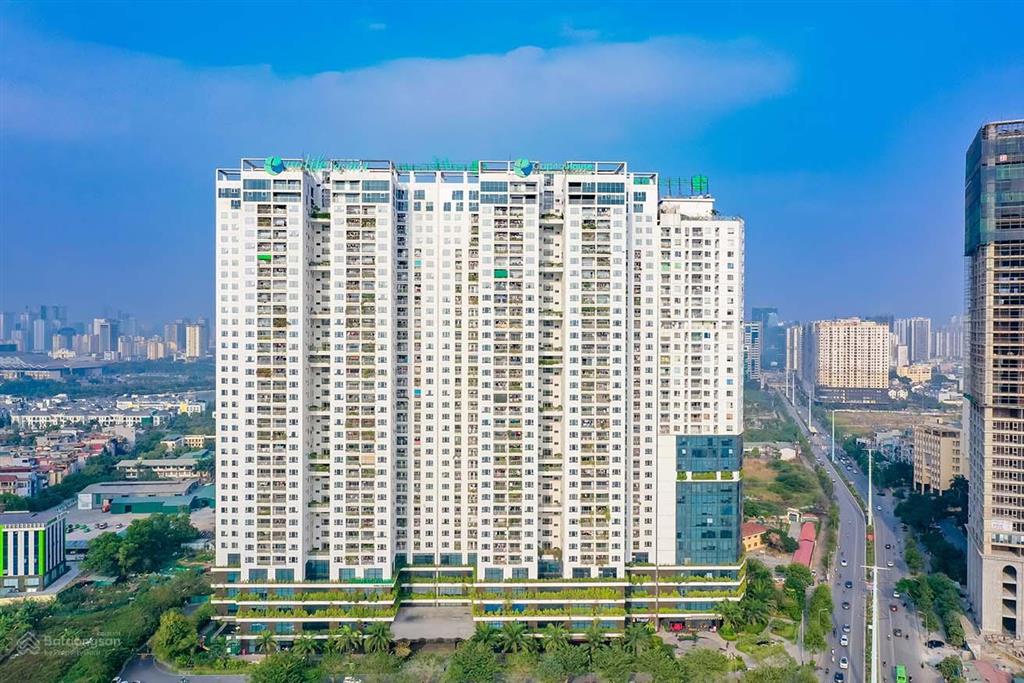 Cho thuê tầng 1 ecolife capitol 115m2