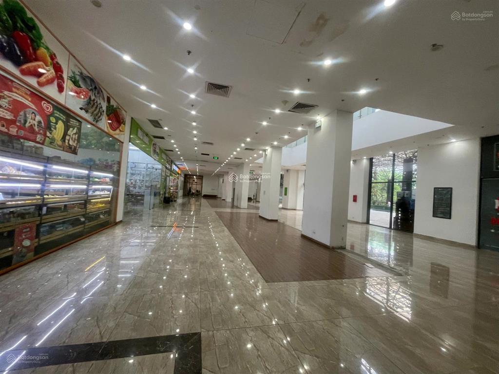 Cho thuê tầng 1 ecolife capitol 115m2