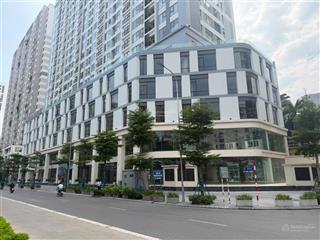 Cho thuê tầng 1 diện tích 286m2  mặt tiền 40m2  handico 33 lê văn lương
