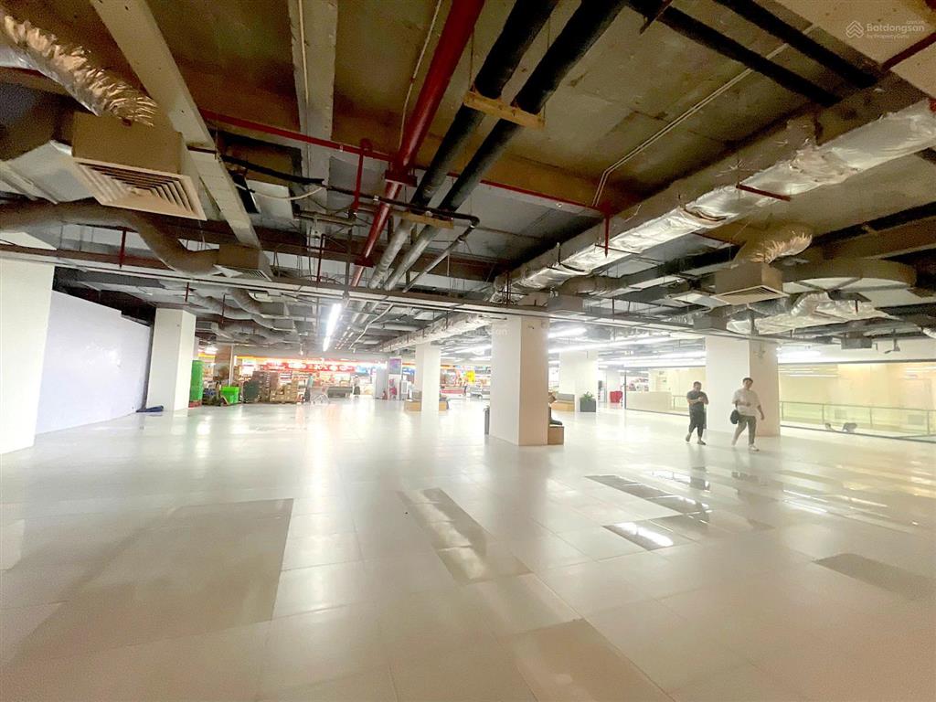Cho thuê mặt bằng thương mại tầng hầm b1 rox tower 54a nguyễn chí thanh diện tích 560m2