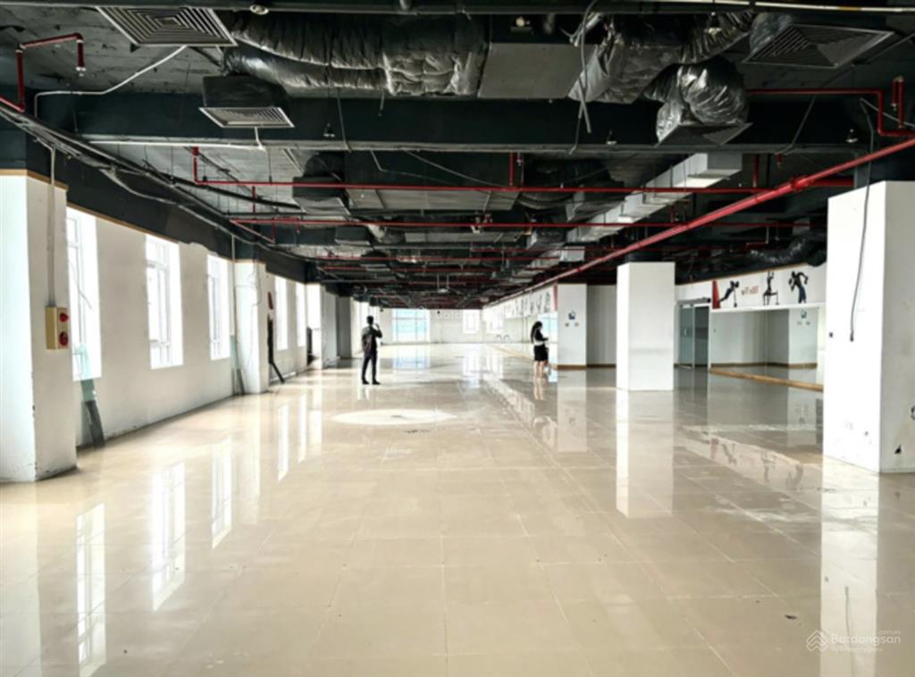Cho thuê mặt bằng tầng 3 tòa nhà shg quang trung