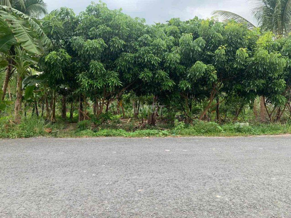 Bán nền cặp sông cái răng bé 10 x 15,7 = 157m2 Lộ nhựa 6,5m view sông