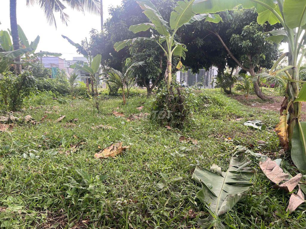 Bán nền cặp sông cái răng bé 10 x 15,7 = 157m2 Lộ nhựa 6,5m view sông
