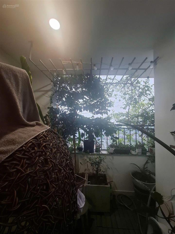 Bán cc cao cấp pakexim view trọn cầu nhật tân, sông hồng 193m2 14,5 tỷ