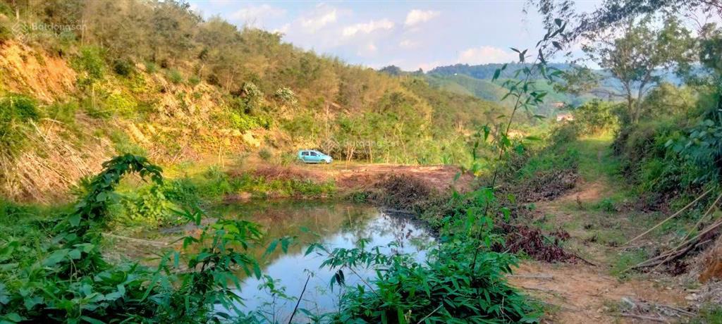 Chính chủ bán đất trồng cây 5.5 ha tại đạ tẻh 2 mới, tỉnh lâm đồng mặt tiền 100m, giá chỉ 4,5 tỷ