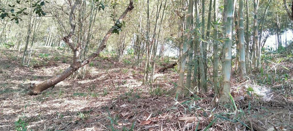 Chính chủ bán đất trồng cây 5.5 ha tại đạ tẻh 2 mới, tỉnh lâm đồng mặt tiền 100m, giá chỉ 4,5 tỷ