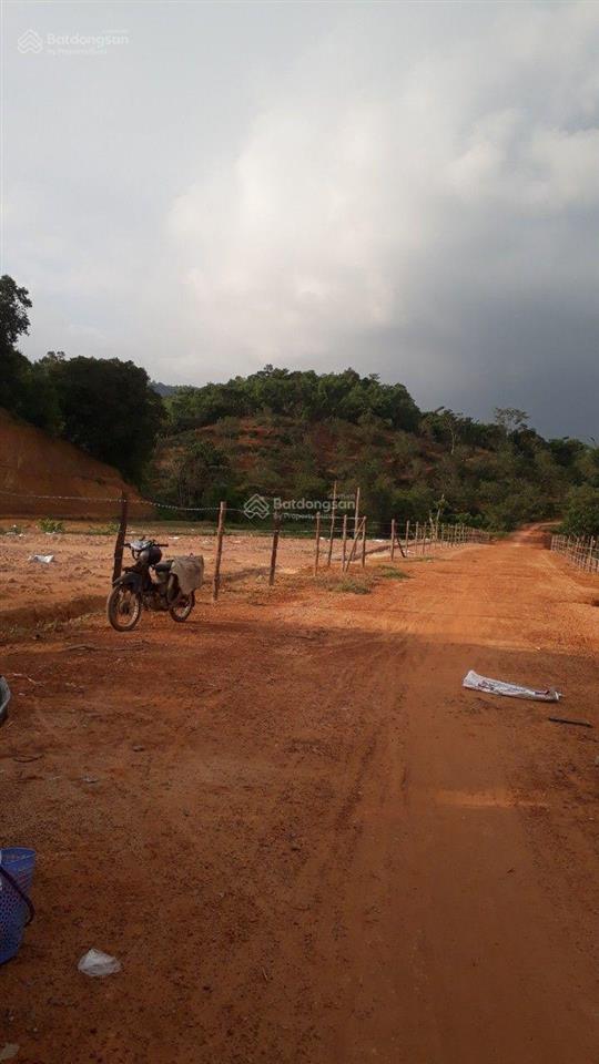 Chính chủ bán đất trồng cây 5.5 ha tại đạ tẻh 2 mới, tỉnh lâm đồng mặt tiền 100m, giá chỉ 4,5 tỷ