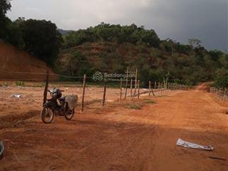 Bán đất trồng cây 8ha tại xã đạ pal, huyện đạ hoai, lâm đồng mặt tiền 100m, giá chỉ 4,9 tỷ