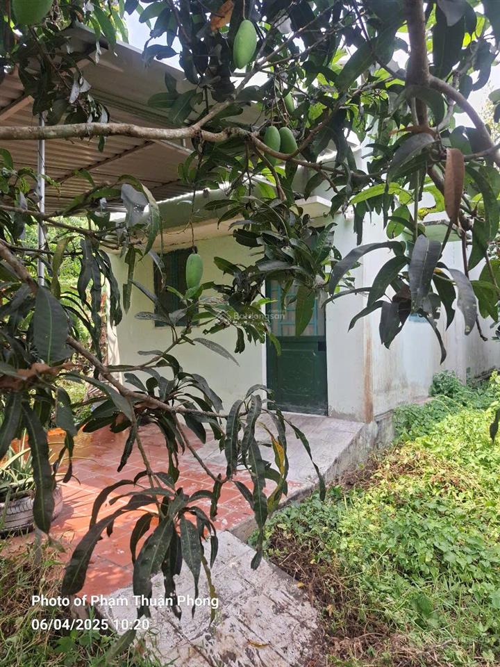 Nhà nhỏ trên đất 1019 m², có 46 m² đất thổ cư, giá 7 tỷ.