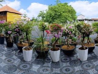 Cho thuê dài hạn nhà vườn  farm hơn 2100m2, đất thổ cư, khu dân cư tại đường tư văn, diên lạc, kh