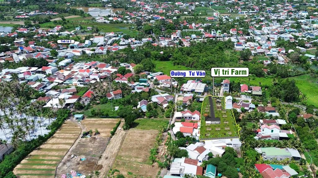 Cho thuê dài hạn hơn 2100m2, đất thổ cư, khu dân cư tại đường tư văn, diên lạc, kh  kinh doanh