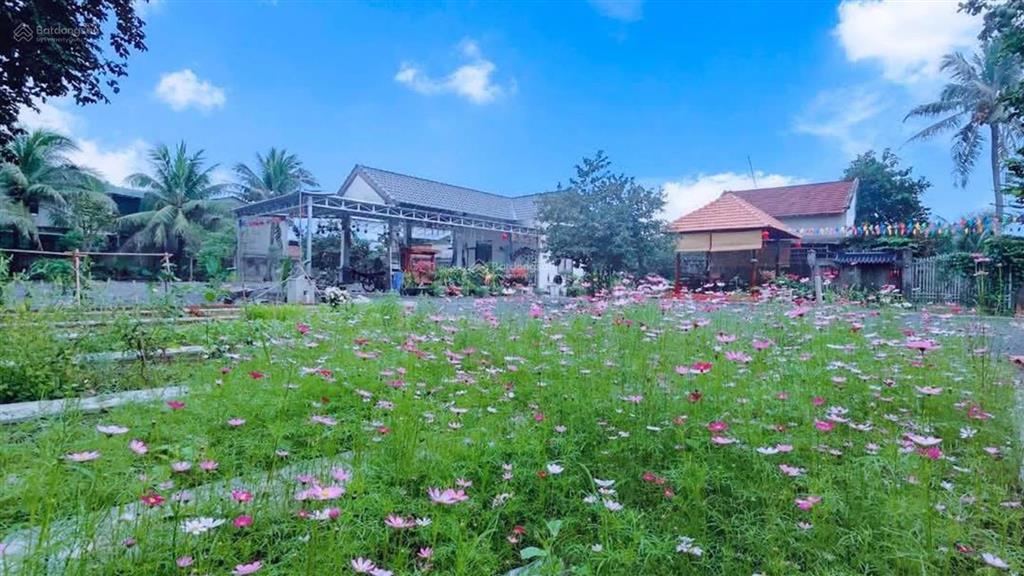 Cho thuê dài hạn hơn 2100m2, đất thổ cư, khu dân cư tại đường tư văn, diên lạc, kh  kinh doanh