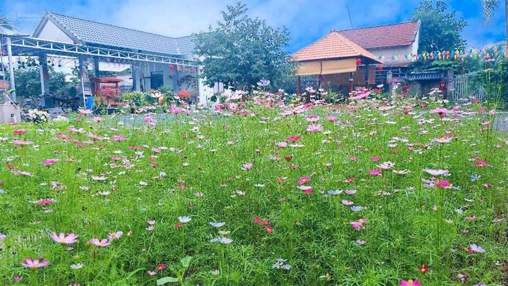 Cho thuê dài hạn hơn 2100m2, đất thổ cư, khu dân cư tại đường tư văn, diên lạc, kh  kinh doanh