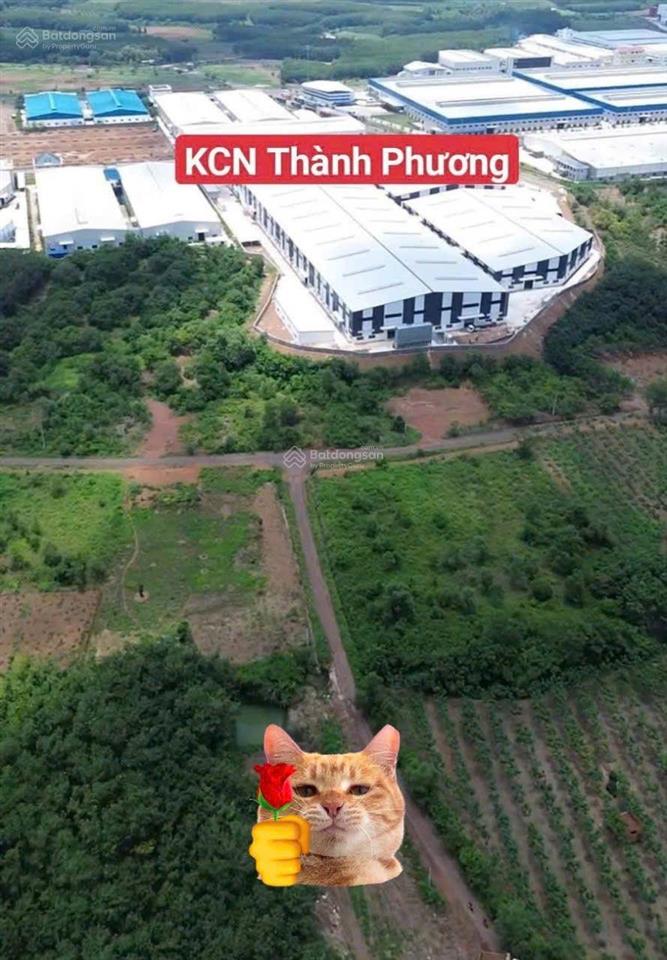 Bán lỗ đất mặt tiền kinh doanh buôn bán cụm khu công nghiệp tân tiến. có hh cho mg