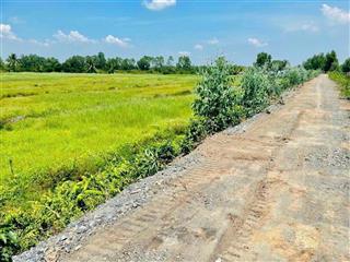 450 triệu hết sổ 1000mv (20x50) đường 7 chỗ thạnh hoà  bến lức.