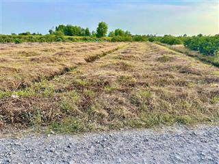 Siêu phẩm 500mv vườn tại tl 816 , mặt tiền đường năm liệt giá chỉ 760 triệu .