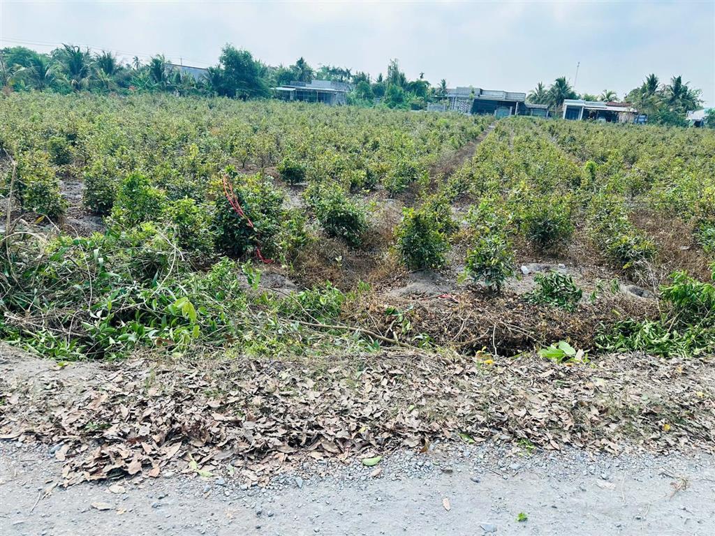 Bán đất tại đường tỉnh lộ 816 view sông 680 triệu trọn sổ , 500m2, mặt tiền 10m đường xe tải .