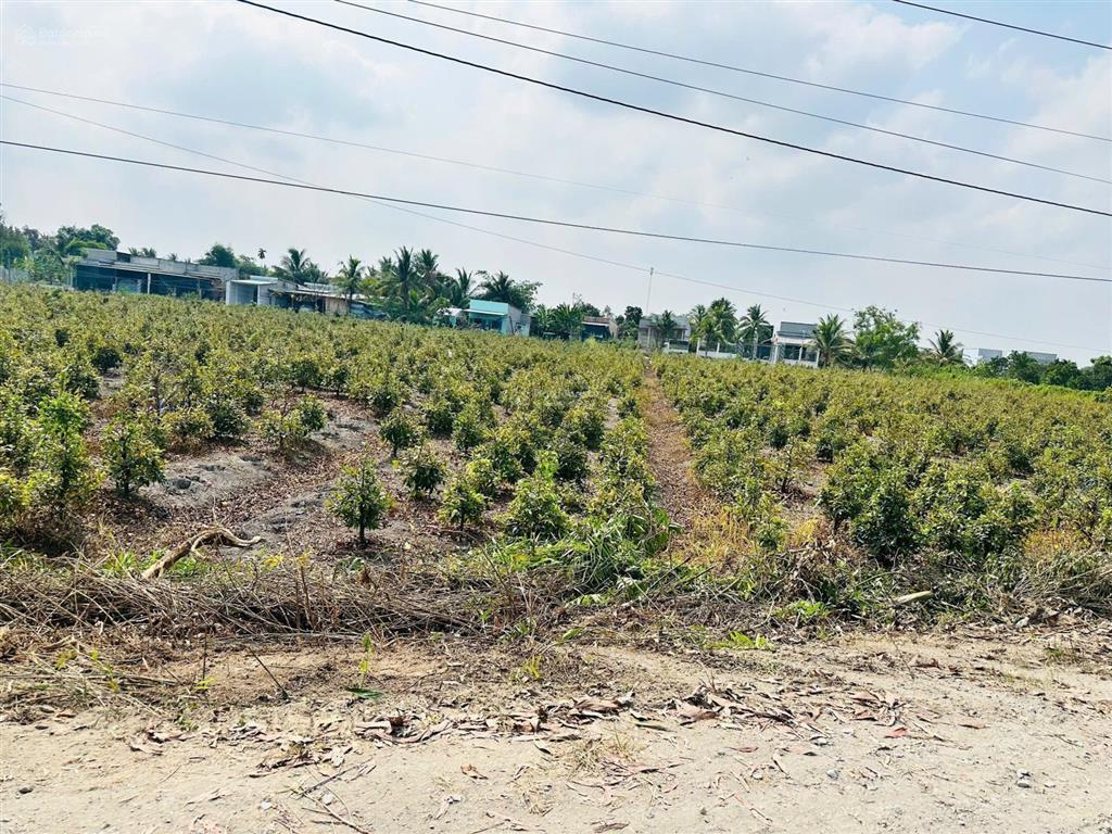 Bán đất tại đường tỉnh lộ 816 view sông 680 triệu trọn sổ , 500m2, mặt tiền 10m đường xe tải .