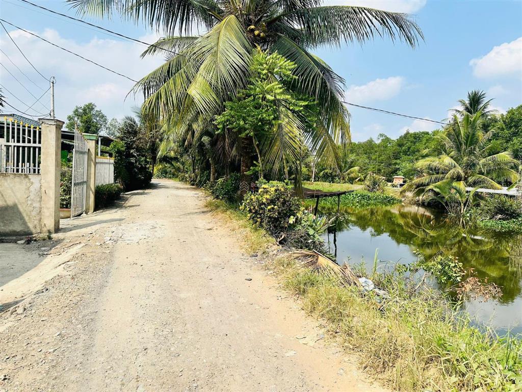 Bán đất tại đường tỉnh lộ 816 view sông 680 triệu trọn sổ , 500m2, mặt tiền 10m đường xe tải .