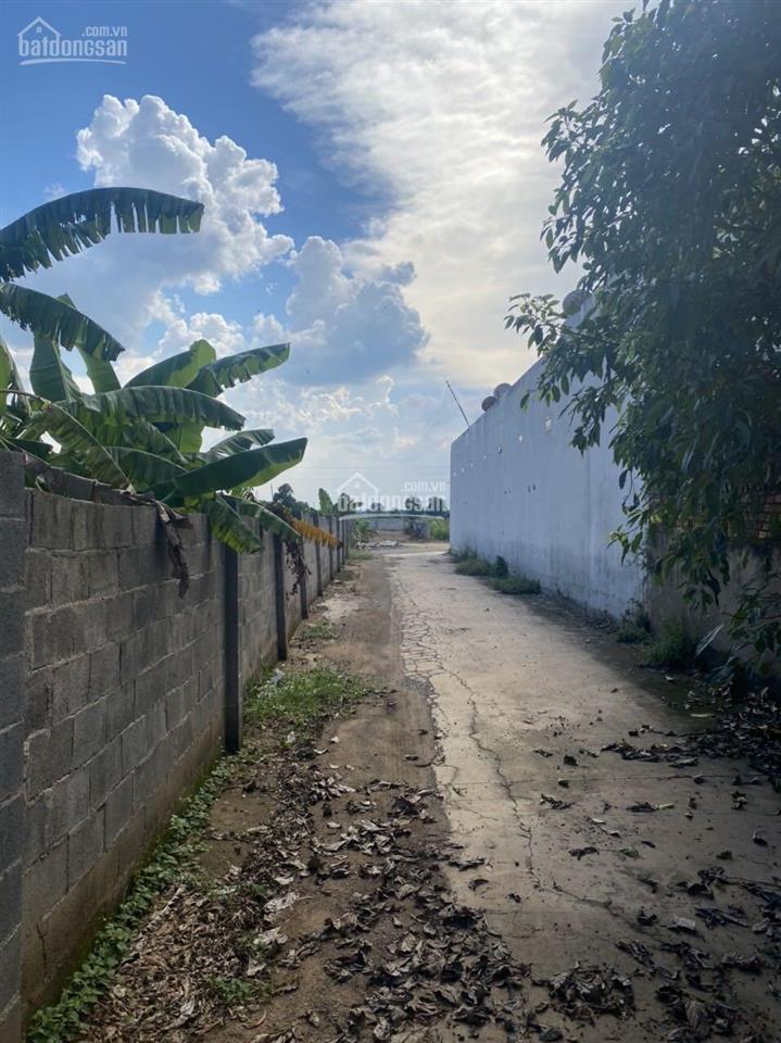 Cần bán đất cách tl763 chỉ 50m, suối cát, xuân lộc, đn giá chỉ 9 tỷ (85x53m) có 1000m2 tc, shr