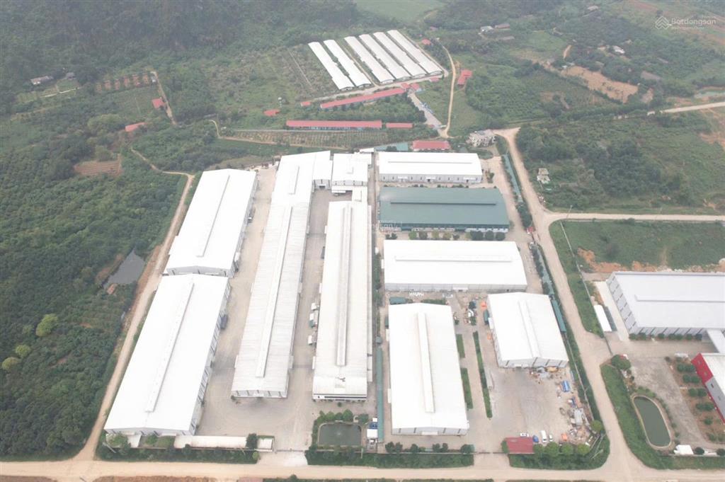 Chính chủ bán đất gần khu cn full thổ cư,sẵn sổ
