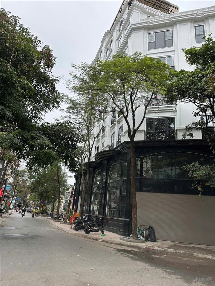Cho thuê biệt thự lô góc khu đô thị dịch vọng, dt 250m2, xd 130m2 * 4 tầng nổi + 1 hầm. giá 90tr